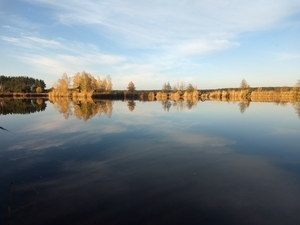Земельна ділянка під будівництво площею 0, 1200  в с. Дружня #1742384