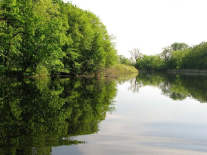 Под застройку 20 cоток на берегу р.Орель(свой берег). #1742525