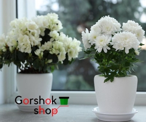 Горщики для хризантем (Польща) оптом та в роздріб #1743461