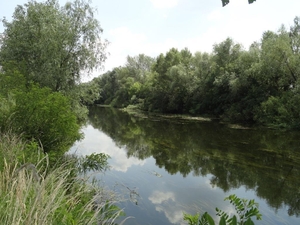 Под застройку 1ГА(100 соток) на берегу реки Орель. #1742551