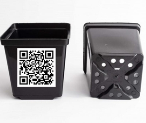 Квадратні горщики для квітів та розсади Kloda #1743926