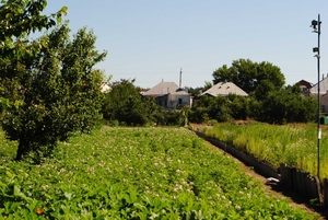 Васищево Харьковский район дом с удобствами #1743854