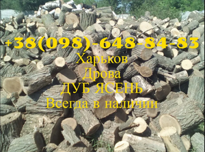 Дрова. Дуб. Коротич,  Песочин,  Буды,  Ольшаны,  Люботин,  Харьков #1660697