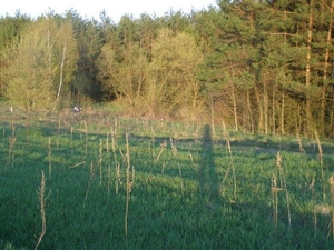 Продається мальовнича ділянка в передмісті,  17 соток,  під забудову #1744230