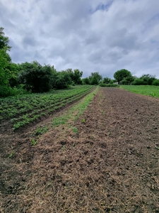 Продаю дом с хоз.пристройками и землю в Гатном,  рядом метро. #1744830