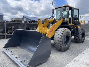 Продам навантажувач CHANGLIN 956X-2015р. 10494 м. г. #1745094