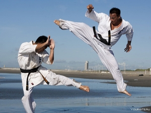 Карате Кіокушинкай #1745698