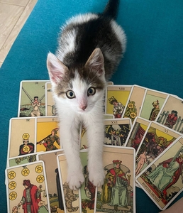 ГАДАНИЕ НА КАРТАХ ТАРО,  помогаю #1745872