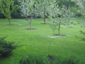 Автоматичні системи поливу З РОЗУМОМ #1747407