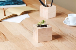 Корпоративні подарунки. Екокубики,  квітучі олівці #1747976