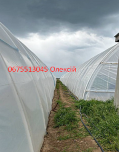 Плівка для теплиць Туреччина Ватан Пластік/Vatan Plastik #1748051
