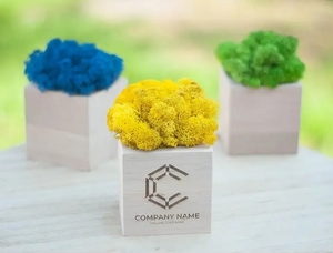 Промо-сувеніри. Кашпо зі стабілізованим мохом #1749390