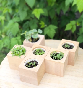 Корпоративні подарунки для IT компаній. #1749448