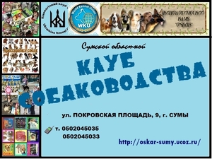 Приглашаем в КЛУБ СОБАКОВОДСТВА #2995