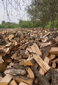 Купити дрова Млинів недорого швидка доставка #1749537