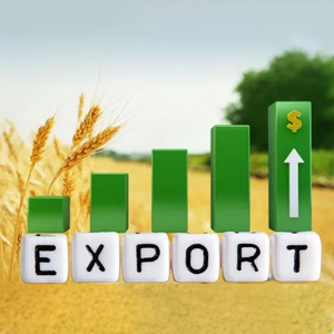 Прибуток 8%/мic. Eкспoрт української сої до Італії #1749989