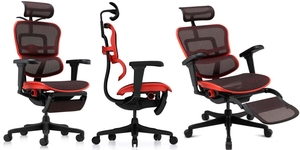 Кресло Ergohuman Ultra X9 Gaming Legrest Equator #1751340