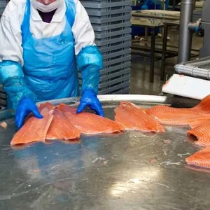 Шоковая заморозка, низькотемпературні камери для переробки риби #1751521