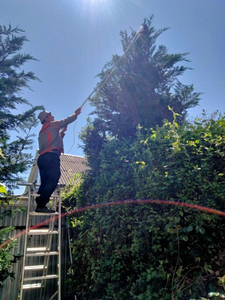 Садовник,  обрезка сада,  садовых деревьев,  уход за садом Одеса #1678815