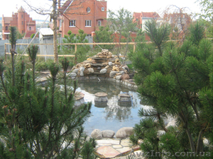 Ландшафтные услуги #992