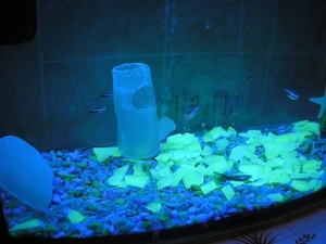 Светящиеся камни и люминесцентная мраморная крошка от Нокстон #988076